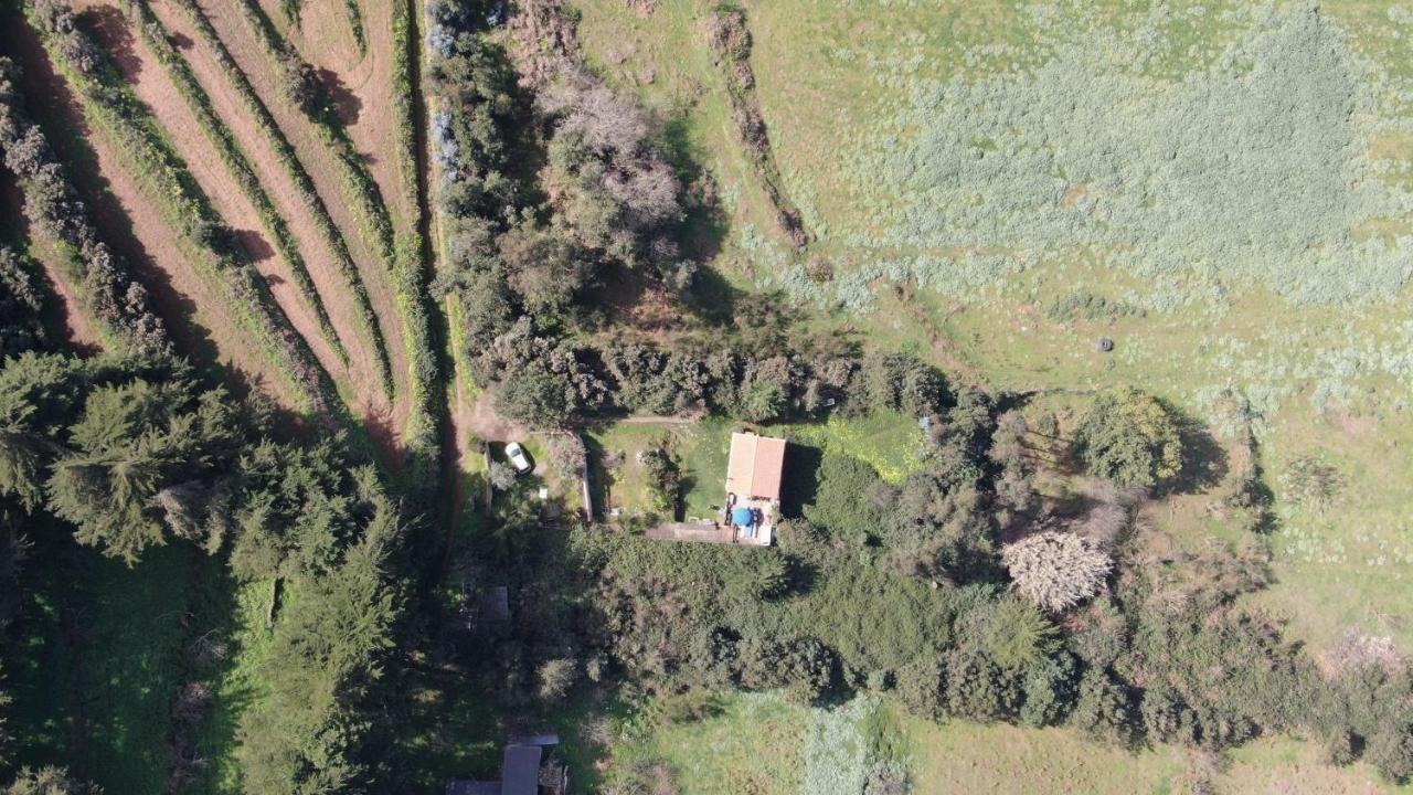 La Esperanza  La Casita De La Esperanzaヴィラ エクステリア 写真