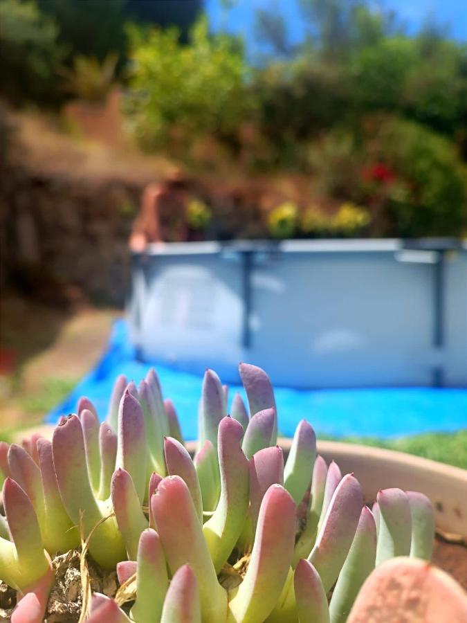 La Esperanza  La Casita De La Esperanzaヴィラ エクステリア 写真